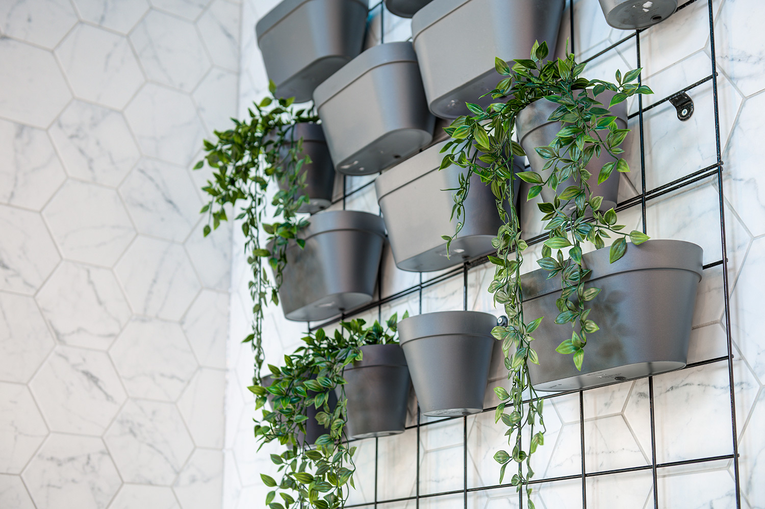 Cambrionix Office Fit-Out Spacio