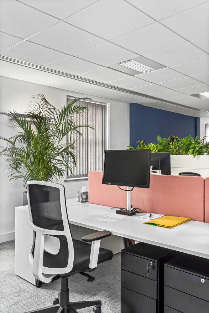 Ellisons Office Office Fit-Out Spacio