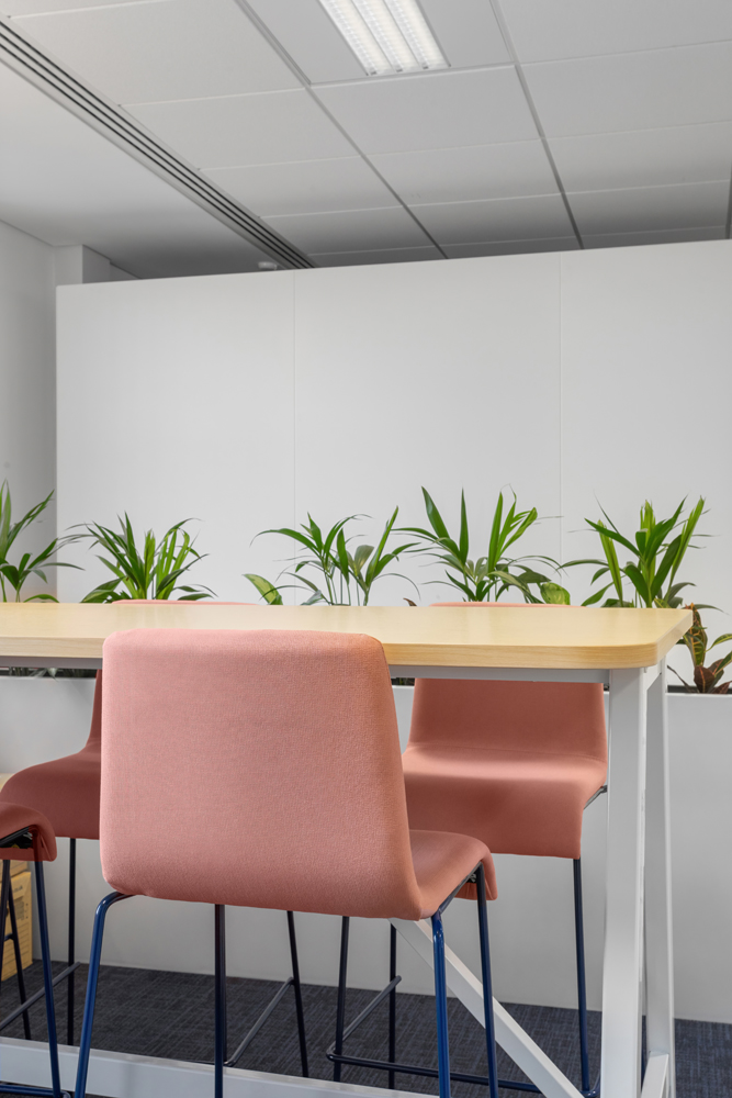 Ellisons Office Office Fit-Out Spacio